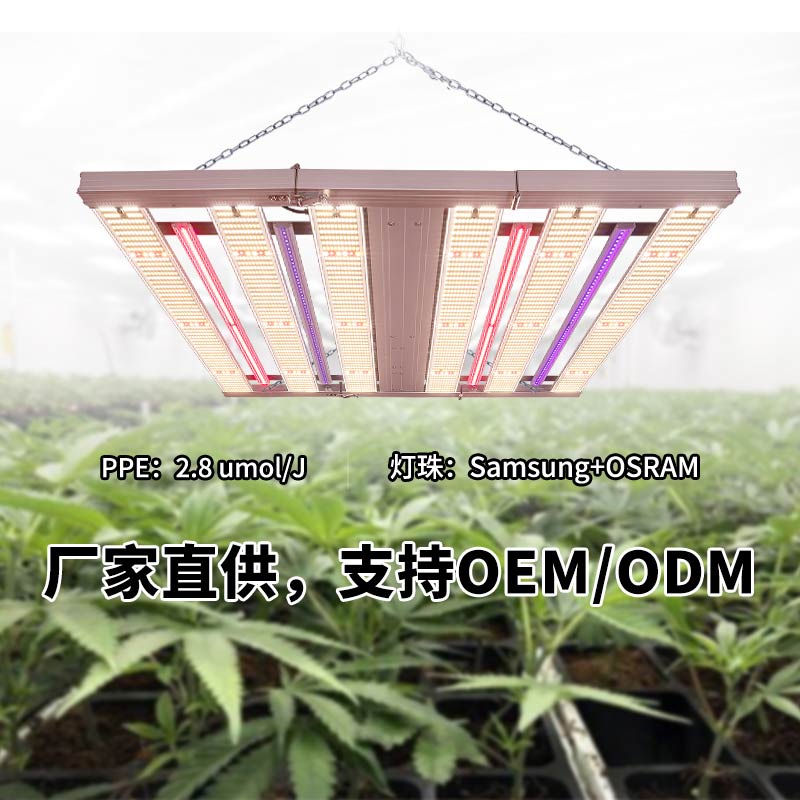 植物灯