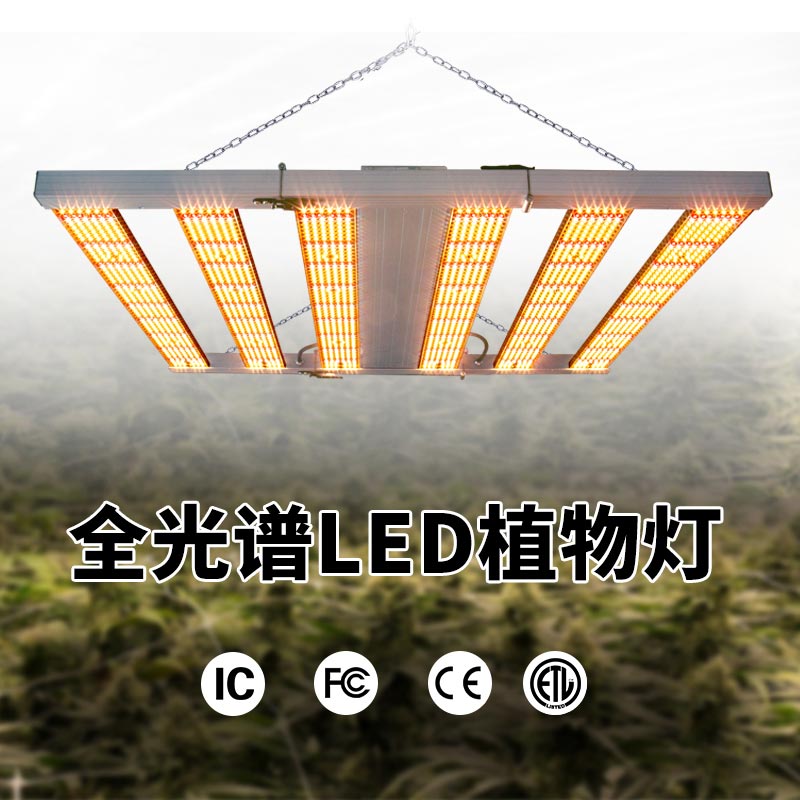 植物灯